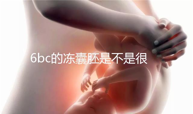 6bc的凍囊胚是不是很差?3分鐘帶你了解胚胎質量和級別