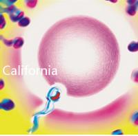 California Cryobank，加州精子銀行實用指南