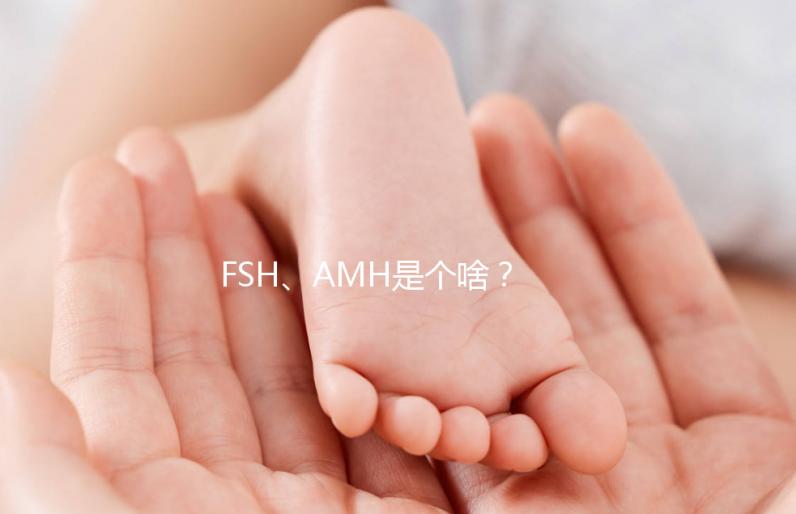FSH、AMH是個啥？卵巢功能好不好看這些指標！