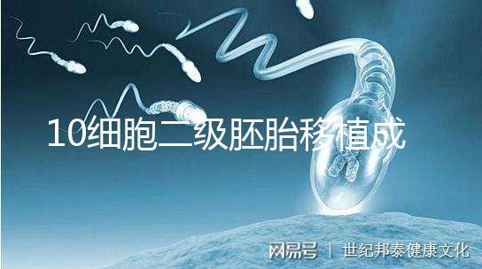 10細胞二級胚胎移植成功率解析，應不應該養囊答案在這