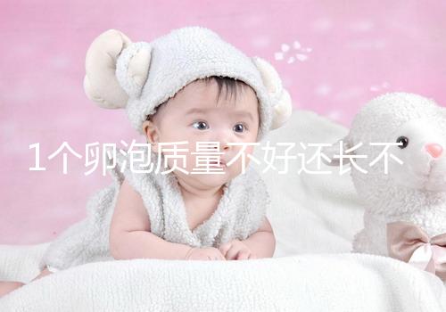 1個卵泡質(zhì)量不好還長不大,如何提高試管嬰兒懷孕成功率?