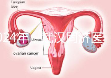 2024年，武漢同濟(jì)醫(yī)院不孕癥醫(yī)生排名公布，選擇專(zhuān)家迅速登記