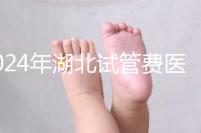 2024年湖北試管費醫療保險可以報銷？專家：時間還沒到？