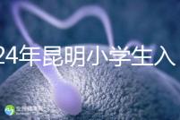 2024年昆明小學生入學政策出臺,五華區(qū)年齡限制重點