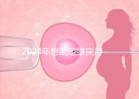 2024年想制定肇慶月子中心的收費標準，前三家公司可以提供24h服務