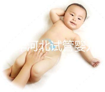 2024年河北試管嬰兒費用可以報銷嗎？補貼金額真的那么大？