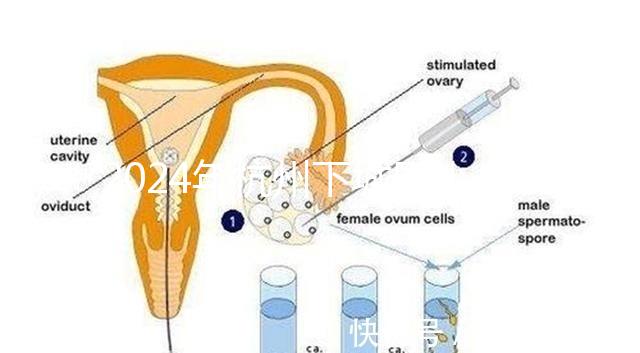 2024年杭州下城區(qū)小學(xué)生入學(xué)條件清單，資料不準(zhǔn)備真的上不去