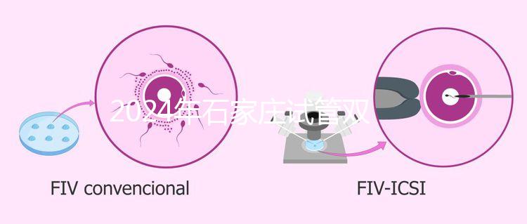 2024年石家莊試管雙胞胎醫(yī)院排名，不要錯過新華、長安