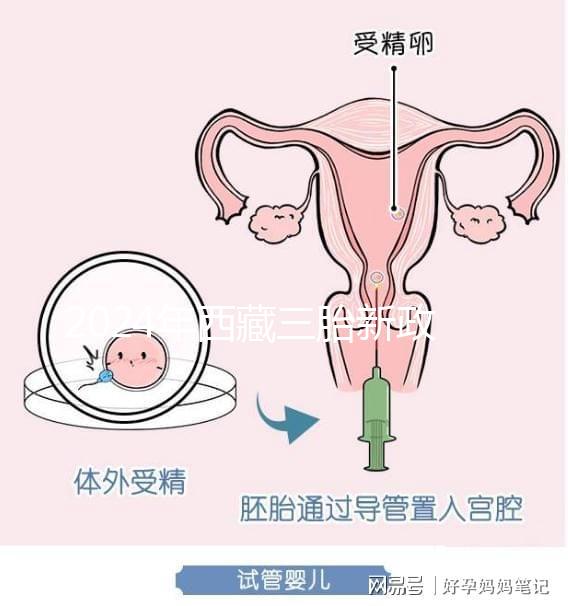 2024年西藏三胎新政策出臺，拉薩、日喀則產假戳多久？