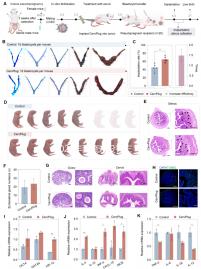 2024年西藏還沒有三代試管嬰兒醫(yī)院，那該去哪里做三代呢？