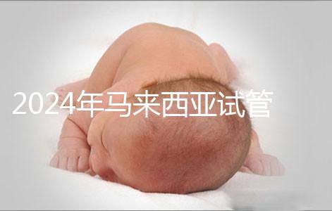 2024年馬來西亞試管嬰兒費用明細，差異不大，6