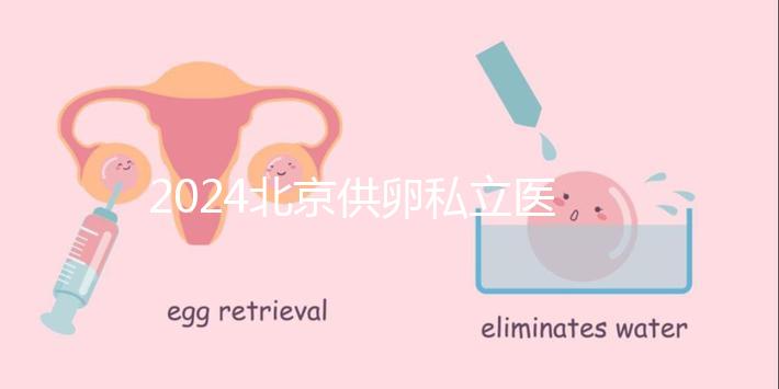 2024北京供卵私立醫(yī)院排行一覽，這三家機構竟在名單中