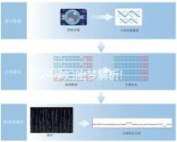 2024孕婦胎夢解析!盤點那些生男孩的胎夢