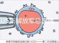2025年解放軍總醫(yī)院第七醫(yī)學(xué)中心做試管嬰兒的費(fèi)用明細(xì),現(xiàn)在做試管多少錢?