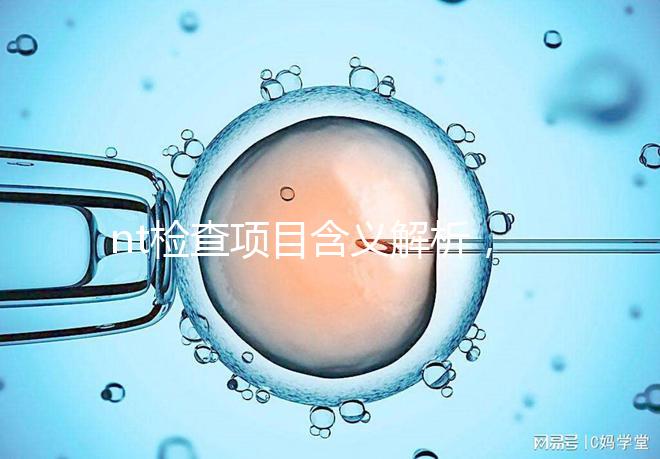 nt檢查項目含義解析，每個內容都相當重要