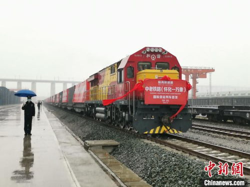 中老鐵路懷化至萬(wàn)象國(guó)際貨運(yùn)列車(chē)首發(fā) 中部地區(qū)再添新通道